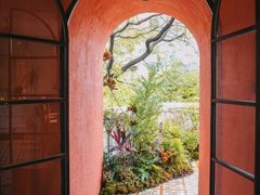-广州市帽峰山景区