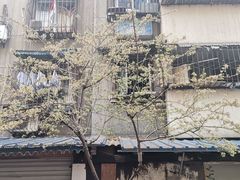 -张家巷胖哥肥肠·三十年老店(原工人村菜市店)