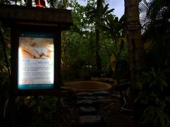 -三亚珠江南田温泉度假区