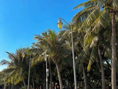 -深圳湾公园(南山区)