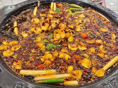 -费明中罗非鱼(大石坝店)