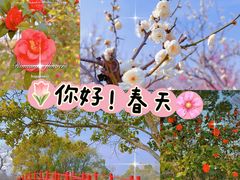 -七桥瓮公园