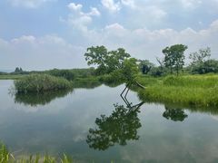 -良渚古城遗址公园