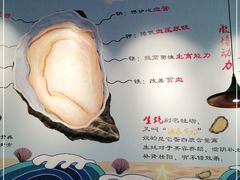 -千岛蚝高压锅生蚝·人参火锅(白云万达店)