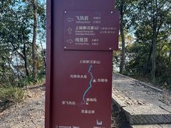 -龙坞茶村