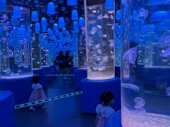 -欢乐海岸海洋奇梦馆