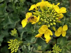 -寻龙山风景旅游区