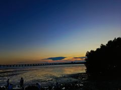 -宝安西湾红树林湿地公园