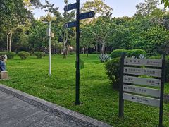 -晓港公园