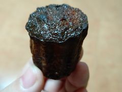 -都恩客(高岛屋百货店)