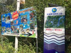 -塘沽森林公园