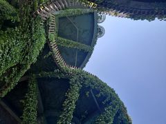 -芒洲湿地公园
