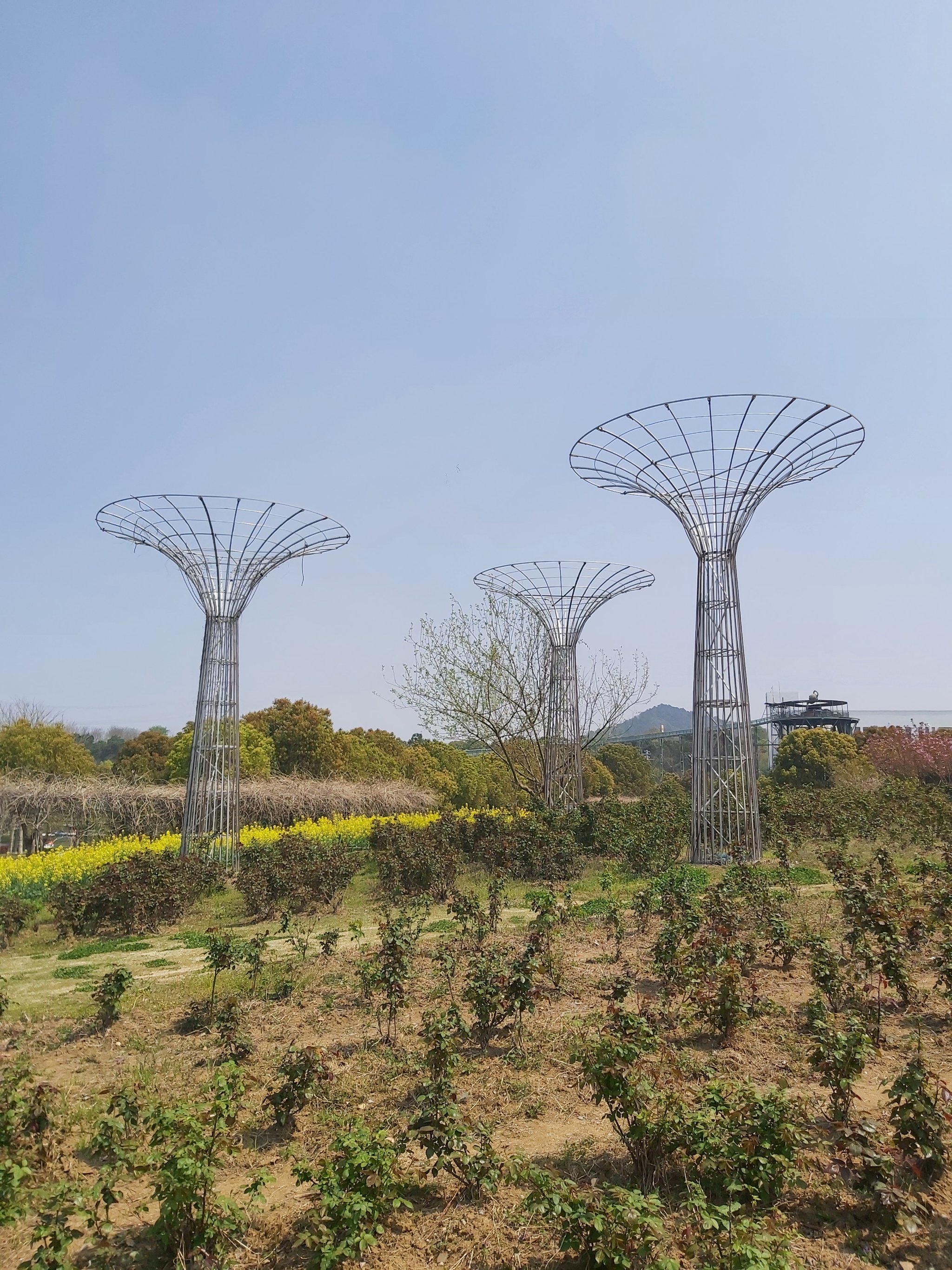 周末亲子游去哪儿～花千谷