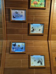 -酷嗒动物文化乐园(cutezoo西溪乐天城店)