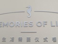 -海马体照相馆(大连罗斯福广场店)