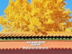 -故宫博物院(故宫)