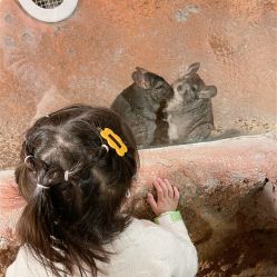 -酷嗒动物文化乐园(cutezoo西溪乐天城店)