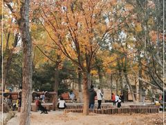 -回龙观体育文化公园