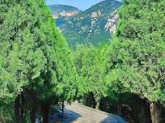 -禅宗少林·音乐大典