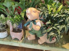 -萤火虫咖啡(后海店)