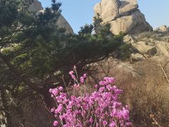 -崂山仰口游览区
