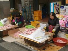 -西归浦每天偶来市场