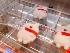 兑换礼品-LLJ夹机占(正佳广场店)