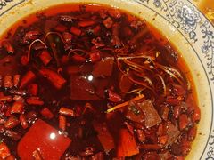 -院8里·小聚园老川菜(九眼桥店)