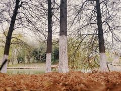 -梁鸿国家湿地公园
