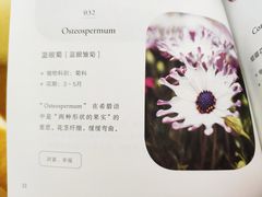 -书亦烧仙草(麦德龙钰龙店)