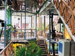 -Rainforest