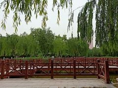 -丰台科技园生态主题公园