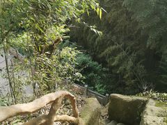 -浮山风景名胜区