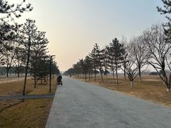 -汉长安城未央宫国家考古遗址公园