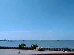 -上海滨江森林公园
