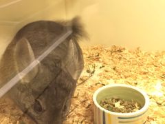 -龙猫仔乐园(惠福东路店)