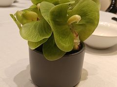 -新雅粤菜馆(南京东路店)