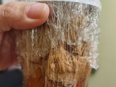 -Santoor 萨都里印度餐厅(北锣鼓巷店)