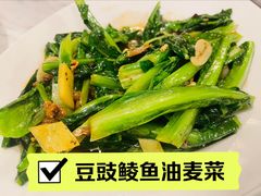 -一品红川菜(皇岗店)