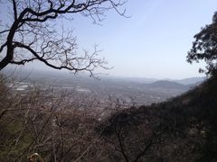 -北京鹫峰国家森林公园