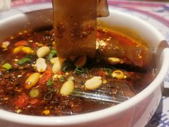 凉拌粉皮-铁公鸡·四川料理(天环广场店)