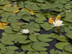 -白鹭湾湿地公园
