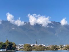 -洱海月湿地公园