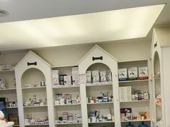-特一安24小时宠物医院·骨科·中兽医