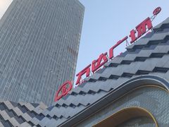 -万达广场(龙湖店)