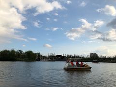 -上海长兴岛郊野公园