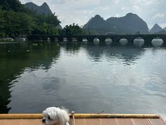 -靖西鹅泉风景区