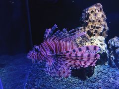 -海合安天津极地海洋公园