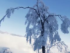 -太子岭滑雪场