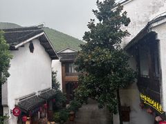 -南山竹海·珍味堂